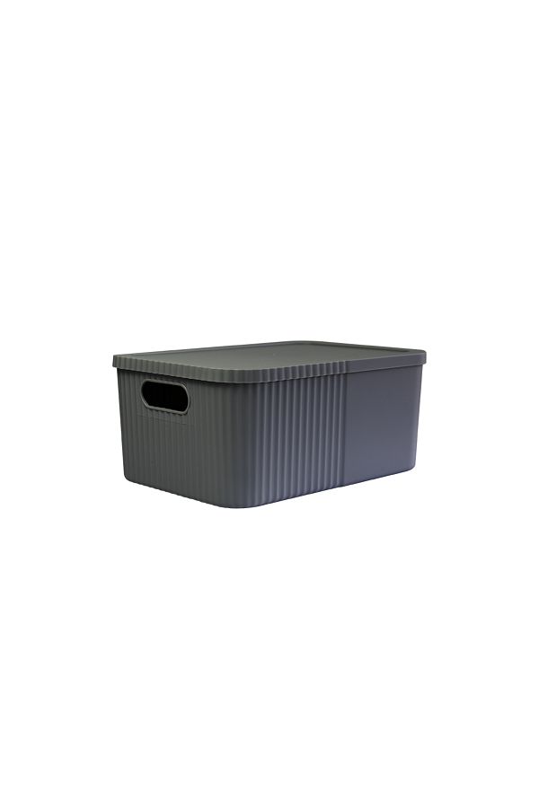 devigo-12-Liter Multi-Purpose Large Storage Box with Lid - Toy, Cosmetic Personal Item Organizer 1