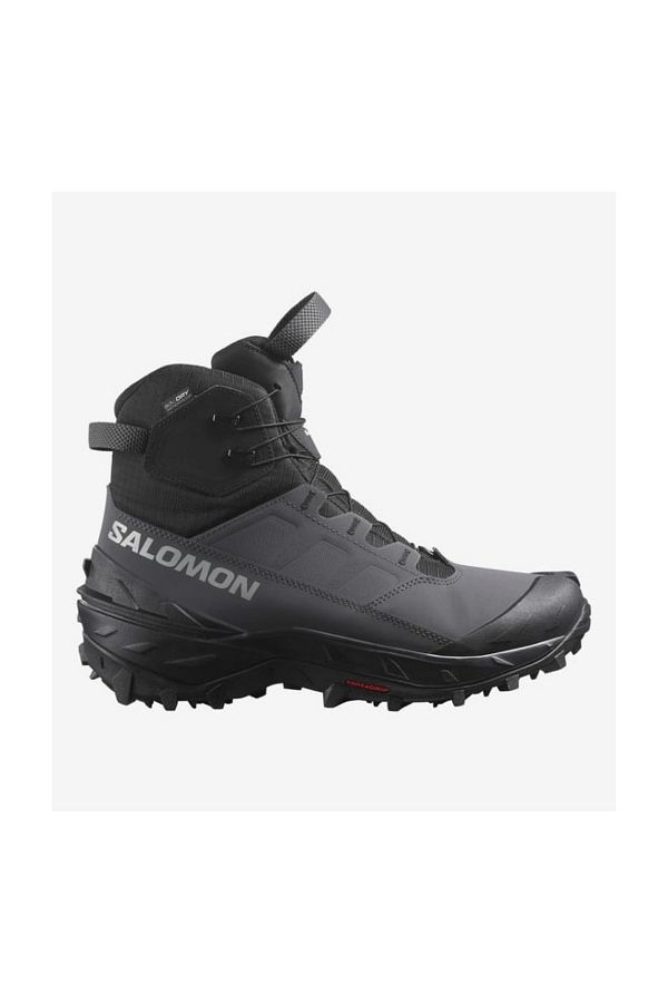 Salomon powder online