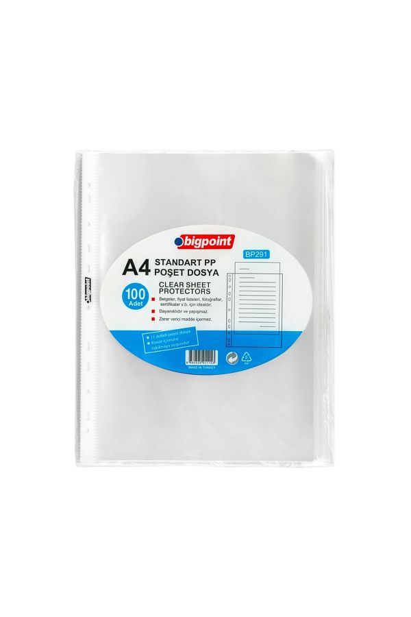 Bigpoint-60 Clear Files with A4 Capacity - Suitable for Bag and Folder Inside Use, 100 1