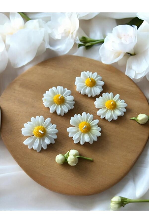 aralmini 15 Adet Kraft Kutulu Papatya Mum Hediyelik, Nişan, Düğün, Sünnet, Söz, Kına, Doğum Günü