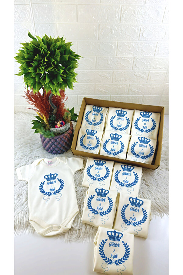 BEYCEY TASARIM Beycey Her Aya Özel 12'li Aylık Bebek Body Seti Zıbın Hediye Hatıra Seti Isimli Kişiye Özel Tasarım