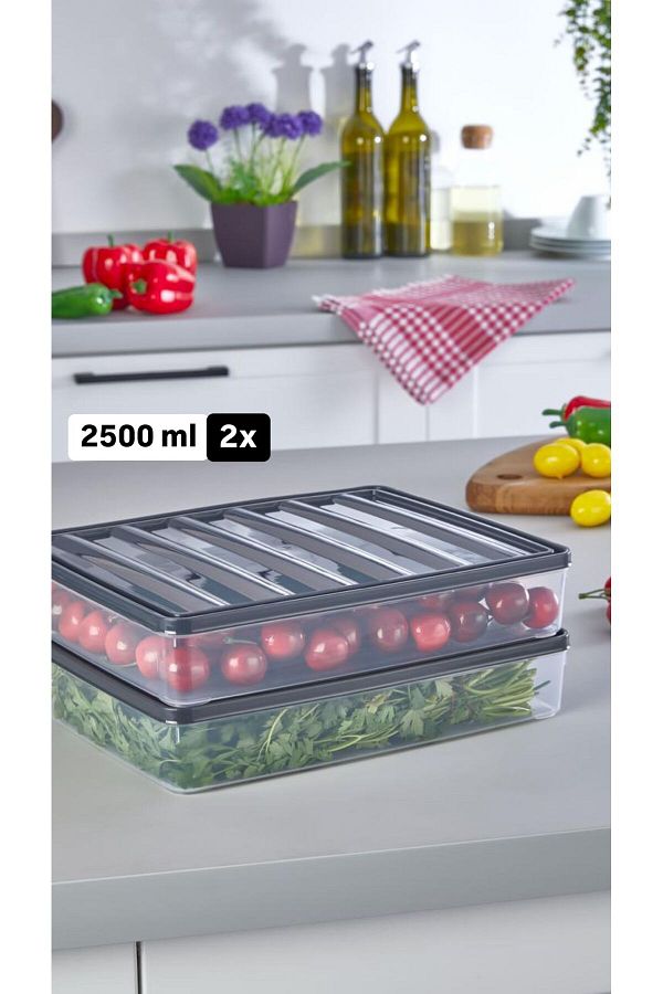 VİZYON-2500ml Horizontal Lid Diffriz Organizer Storage Container Microwave Container 1