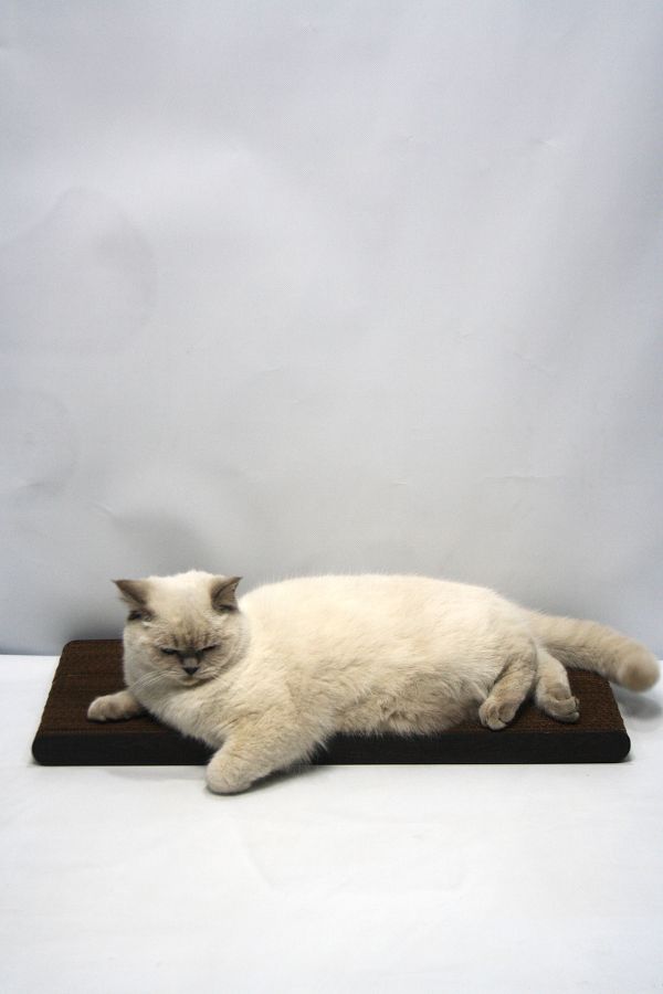 Lazy Paws-2 Pieces - Cat Scratch Cardboard - 60X24 cm - Mdf Edge 1