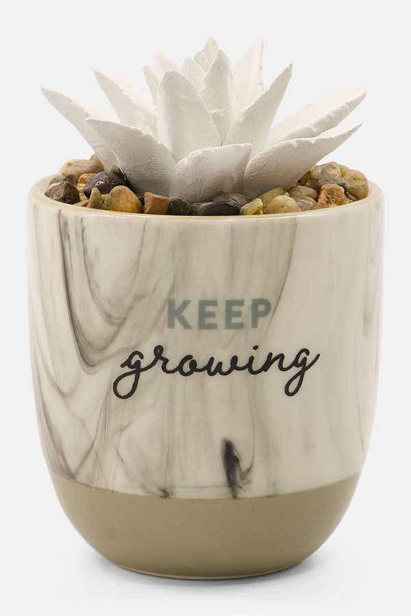 Demdaco-Succulent Oil Diffuser 3 D x 10 H cm, Ivory Combo 1