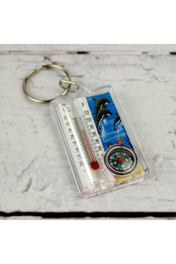 naque-Thermometer Graduated and Patterned Compass Keychain 1