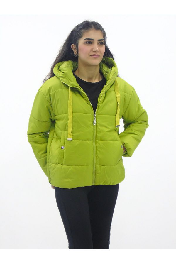 Bigdart-Hooded Solid Color Puffer Jacket 1