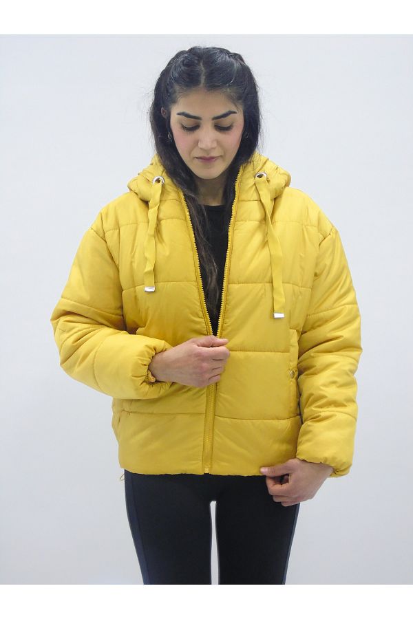 Bigdart-Hooded Solid Color Puffer Jacket 1