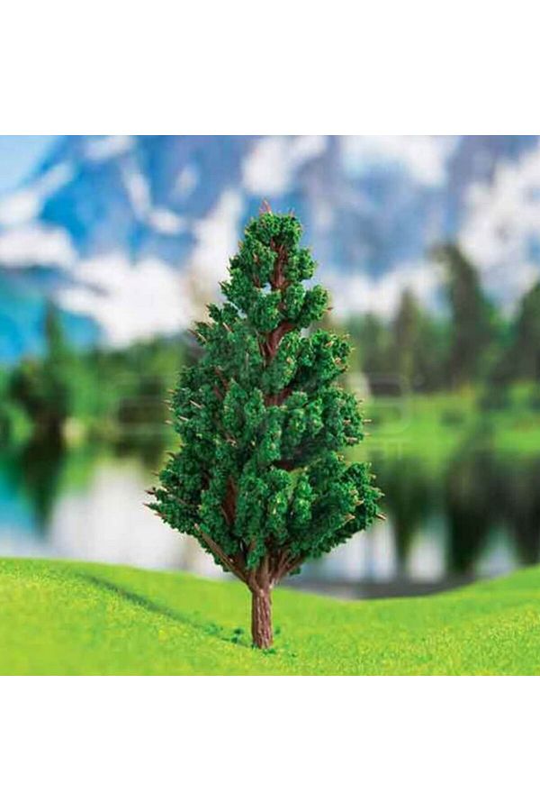 Jordania-Juniper Tree--8 Cm--2 Pieces 1
