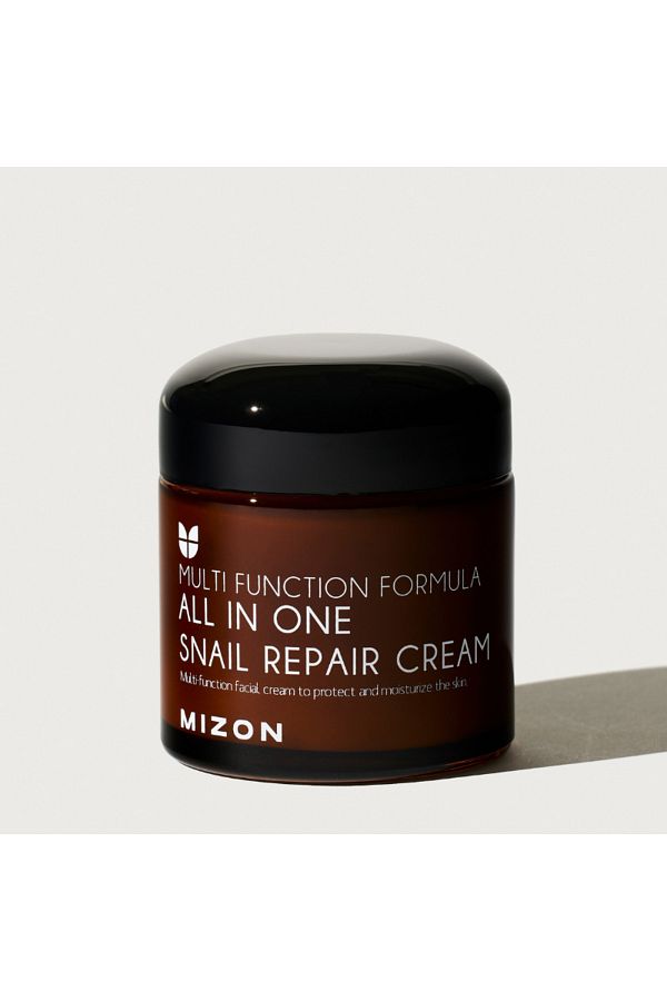 Mizon-All in One Snail Repair Cream 120ml 1