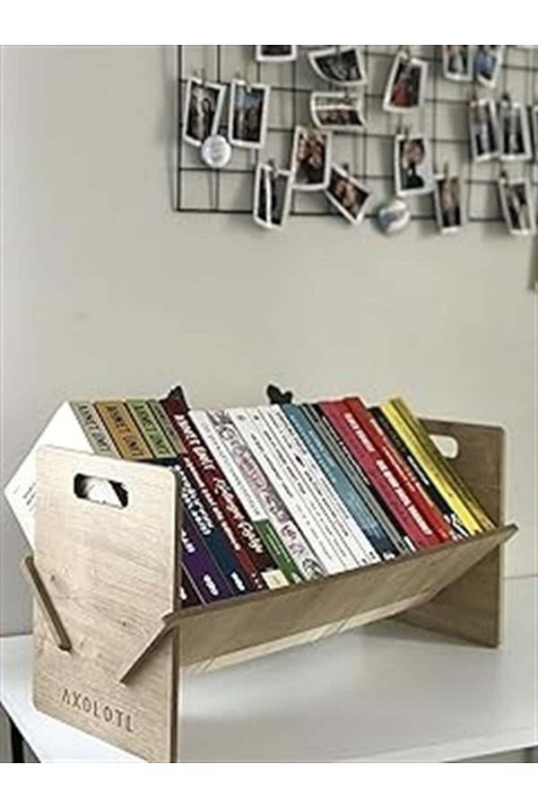 nazeninstoğu-Axolotl Desktop Bookshelf Mini Shelf Desktop Book Organizer (30cm) 1