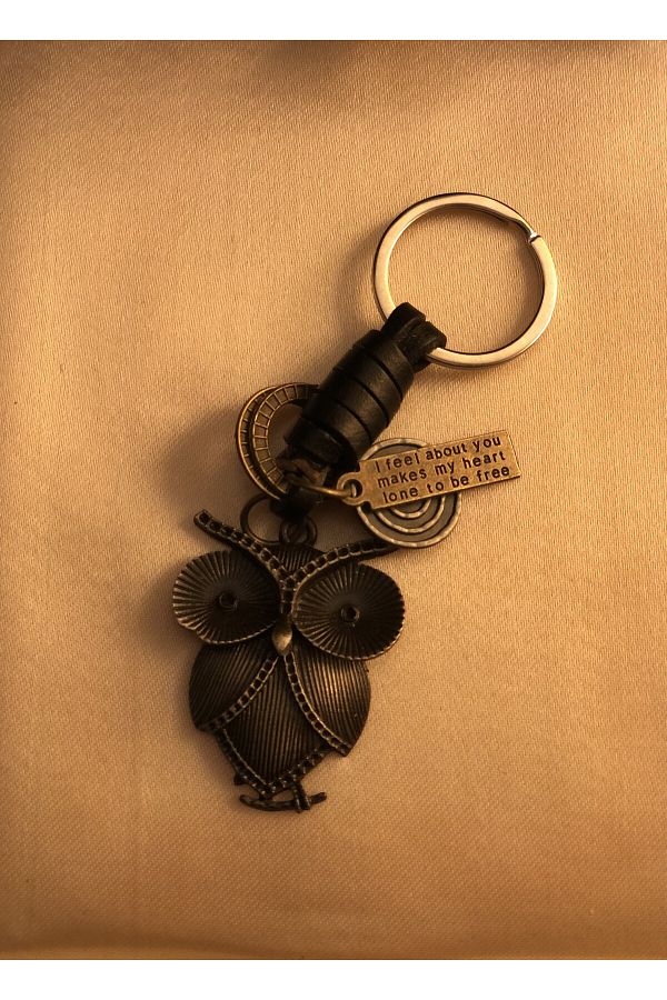 Jisey-Keychain on Owl Figure 1