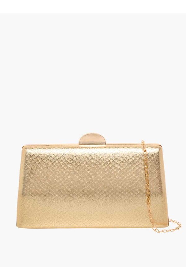 Flora Bella by Shoexpress-Flora Bella Textured Clutch with Flap Closure and Chain Strap 1