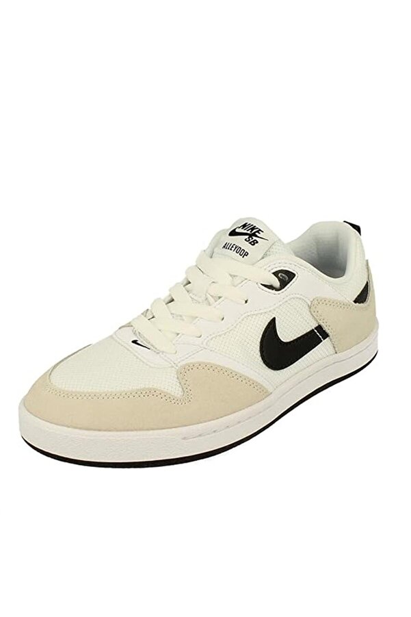 nike sb allyoops