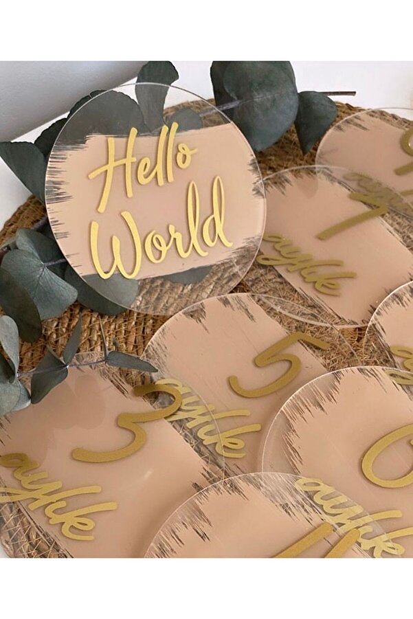 SONMEZSTORE Anı Diski,1 Adet ,anı Kartı,bebek Hediyelik,fotoğrafçı