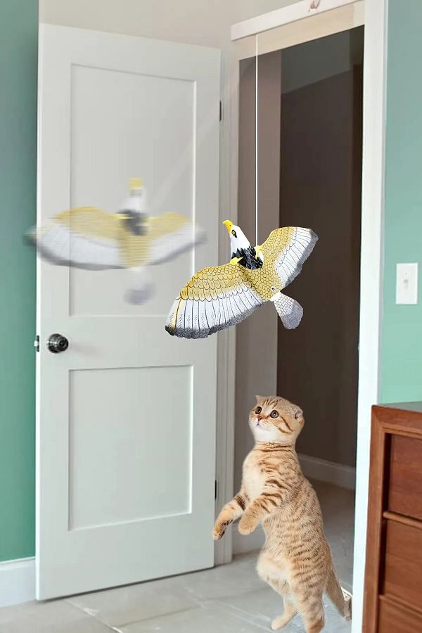 TİNEKE-Ceiling Hanging Cat Toy - Animated Eagle Bird 1