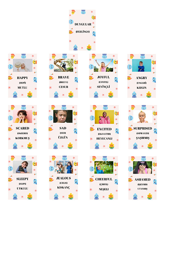 Baby İNGİLİZCE DUYGULAR FLASH KARTLARI