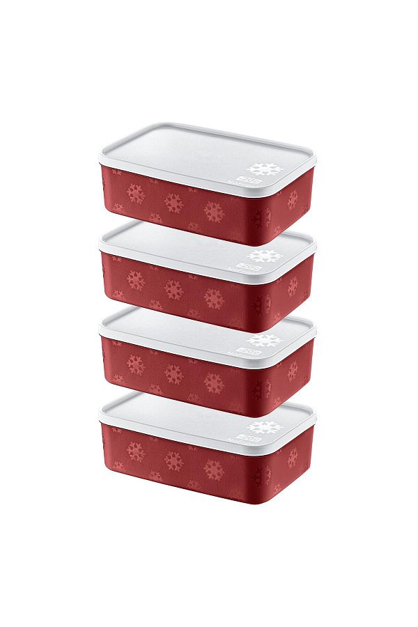 Smartware-Carmen 1600 ml - Set of 4 No Frost Storage Container 1