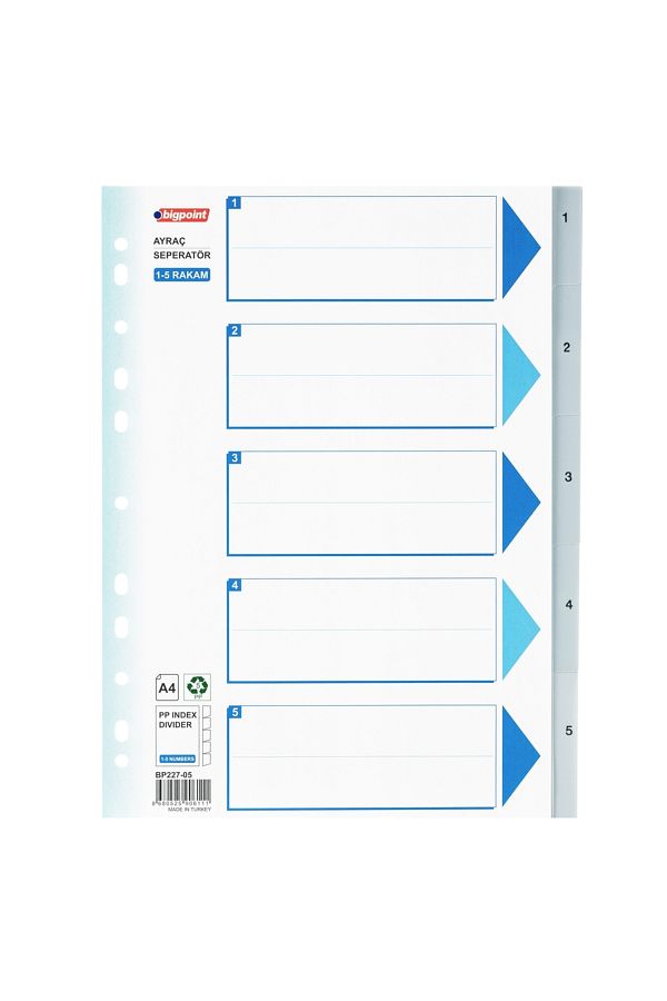 Bigpoint-Bp227-05 Model 1-5 Number Separator 1