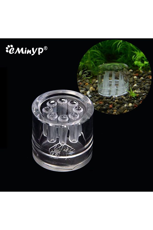 Choice-Aquarium Planaria Trap Crystal Red Shrimp Worm Trap Transparent 8-Hole Leech Proteinworm Pest Cat... 1