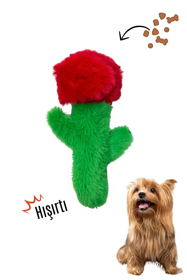 Havhav-Plush Rose Food Storage Dog Toy with Rustle Sound for Medium and Small Breed 1
