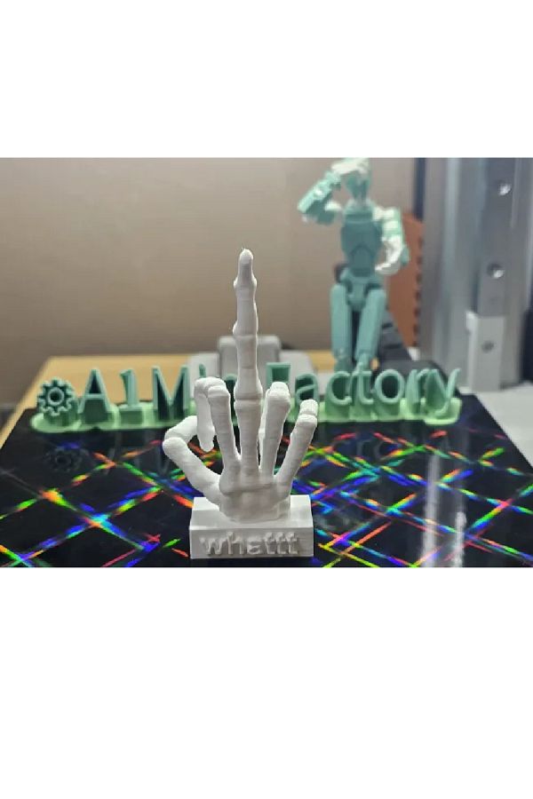 Formista3d-Skeleton Middle Finger Point 1