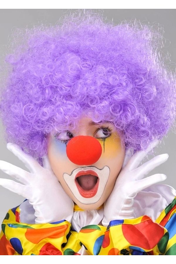 YNT İthalat-Heyf Purple Color Curly Afro Bonus Wig False Hair and Red Nose Set 1