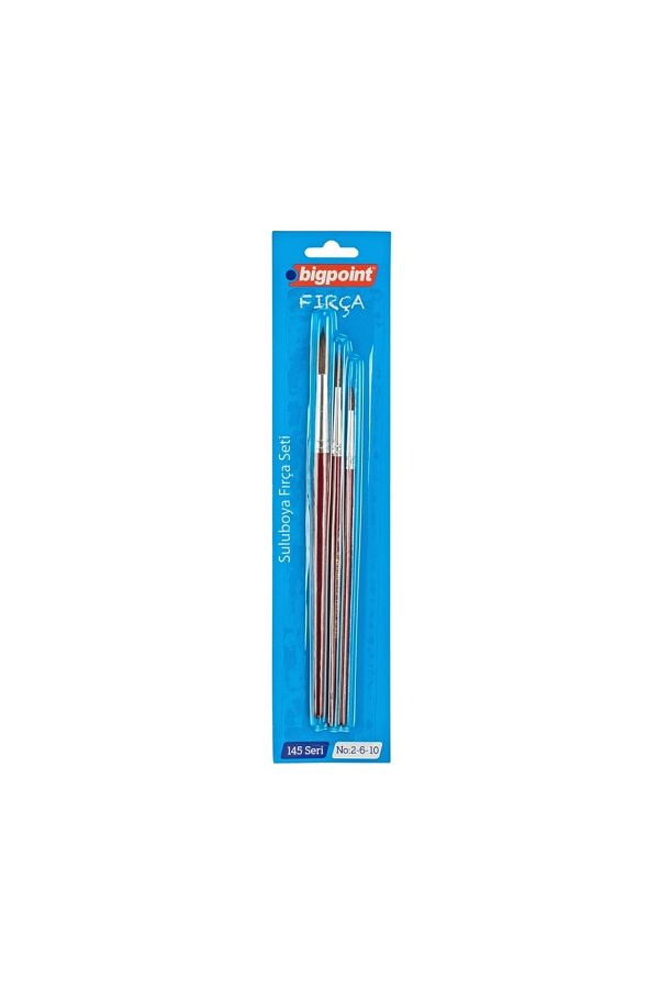Bigpoint-|   145 Series Round Brush Set, 3-Piece, No: 2, 6, 10, 100% Natural Pony Hair 1
