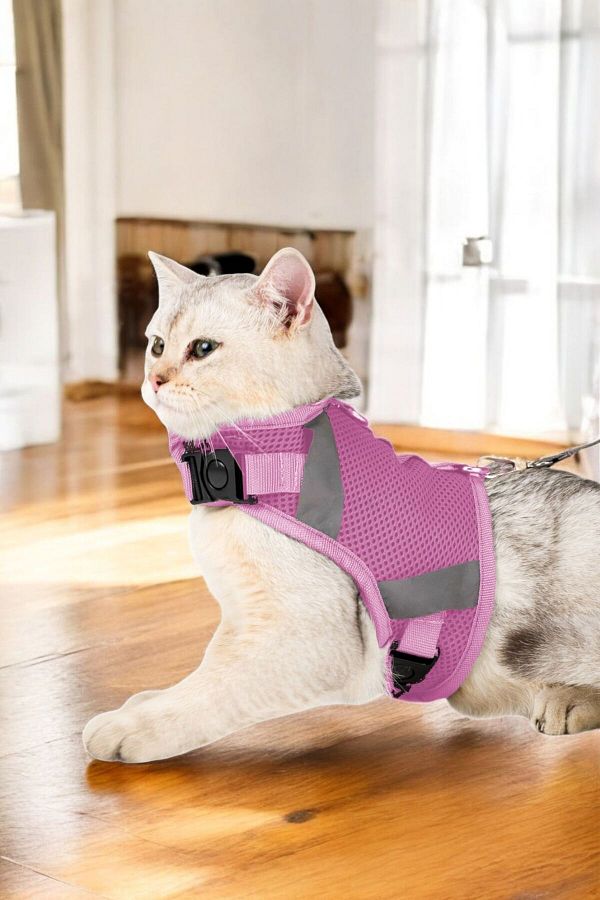 Viselia-Reflective Dog Collar - Chest and Neck Collar Set, with Dispatch Strap, Anti-Sweat Breathable 1