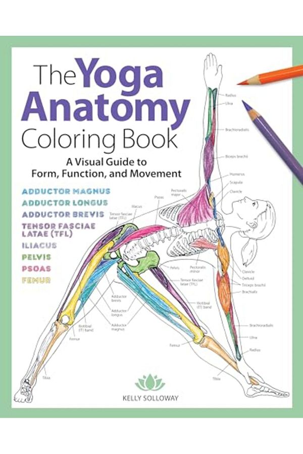Sixth & Spring Books-The Yoga Anatomy Coloring Book A Visual Guide To Form Function And Movement 1