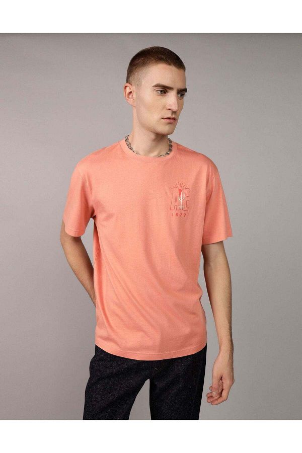 AMERICAN EAGLE-AE Embroidered Graphic T-Shirt 1