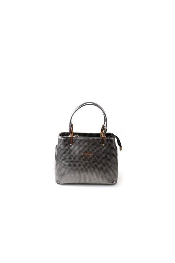 Armine-351 Women's Hand & Shoulder Bag 1