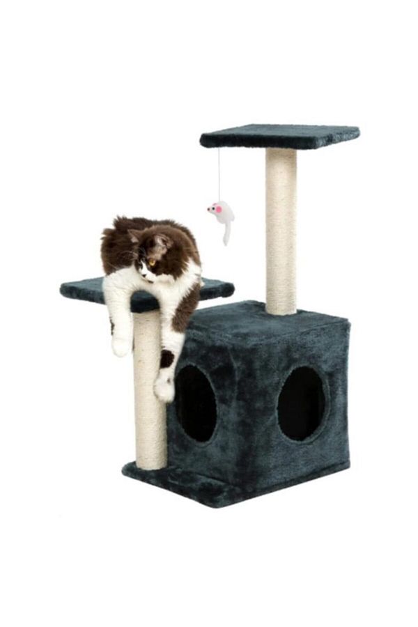 Reyo-Cat Scratch with Pet Nest - Anthracite 1