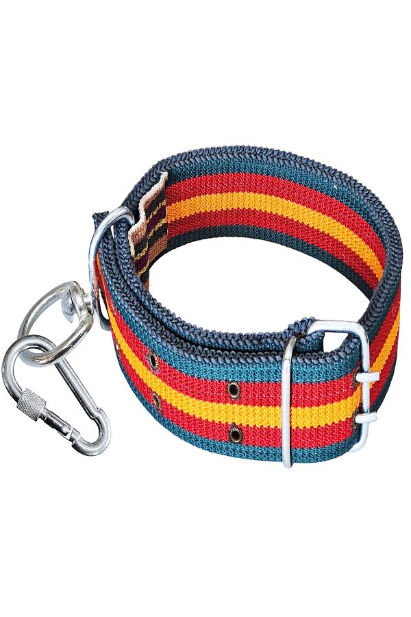 ALETÇANTAM-Large Irk 83cm Double Buckle Dog Collar with Lock Palaska 1