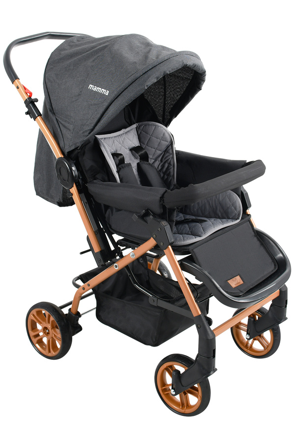 Mamma King Çift Yönlü Bebek Arabası + Ayak Örtüsü ve Yağmurluk