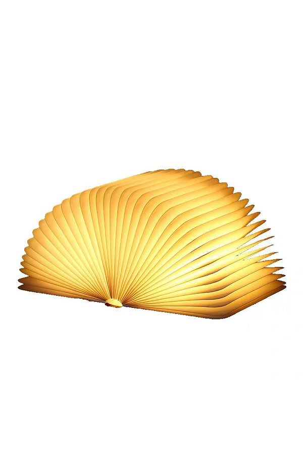 sharpdo-Mini White Maple Book Lamp 1