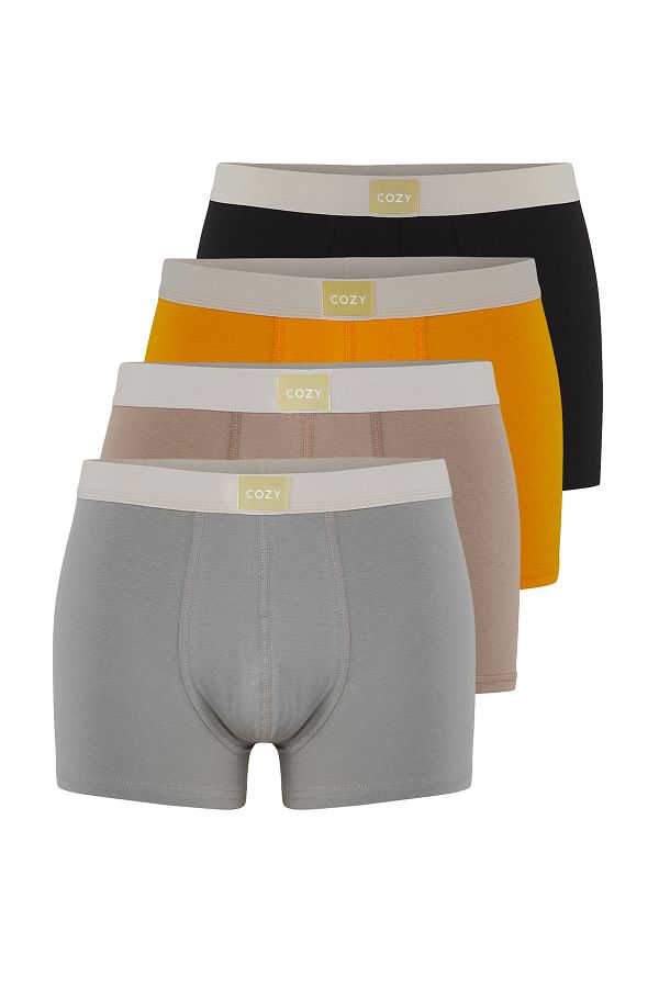 Trendyol Collection-Multicolored Pack of 4 Basic Text Luxury Gather Soft Perfumed Boxers 1