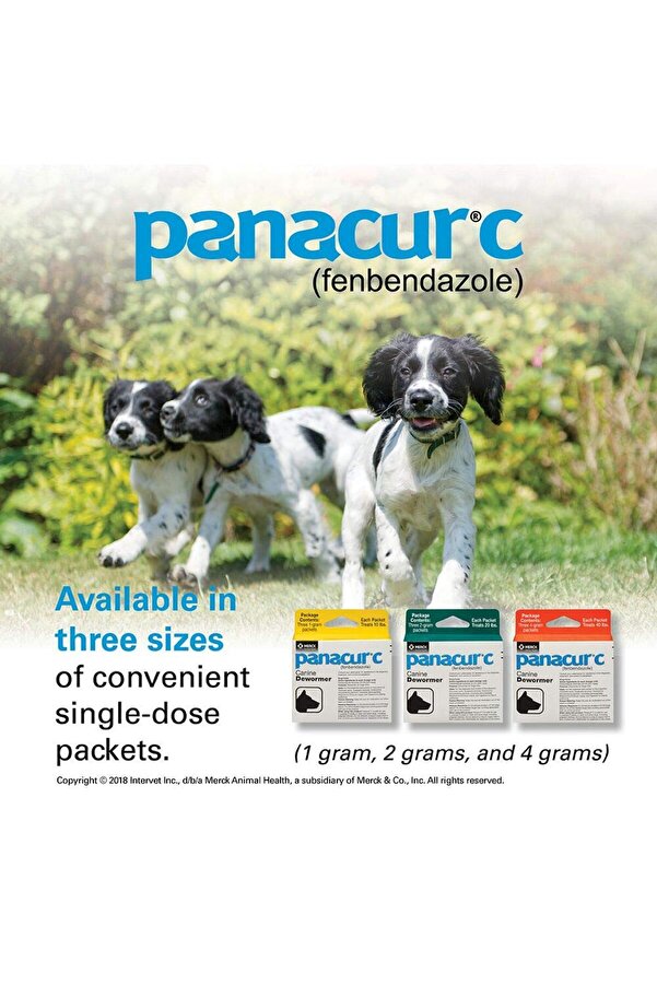 Panacur Granules For Dogs Side Effects Panacur Worming Granules