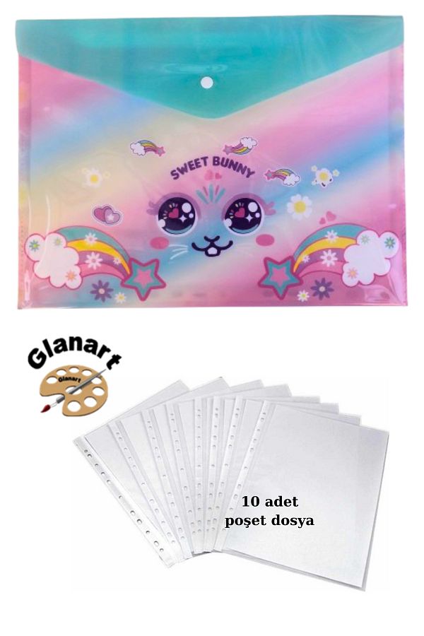 Glanart-A4 Size Snap Homework File +10' Bag File Catface 1