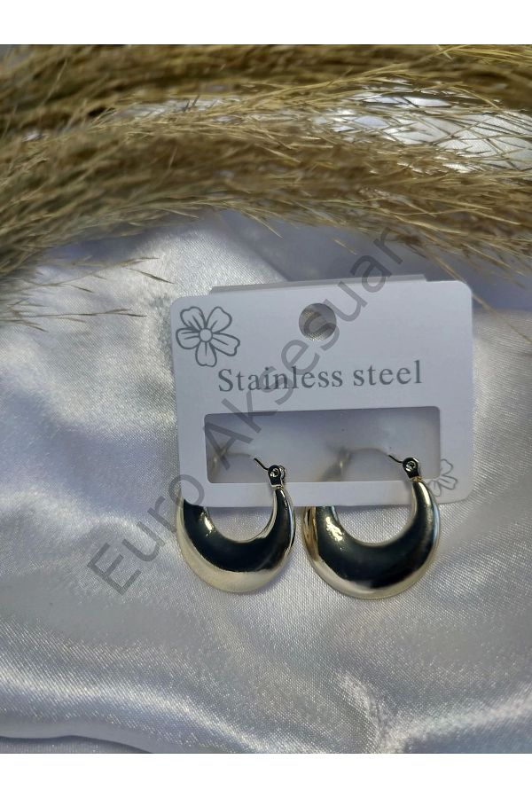 stainless steell-Gold Steel Crescent Earrings 1