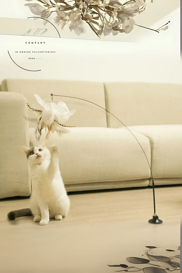 FORSEİ LUCA-Feather Cat Playstick with Suction Cup, Rattle Cat Toy, Cat Exercise Apparatus 1