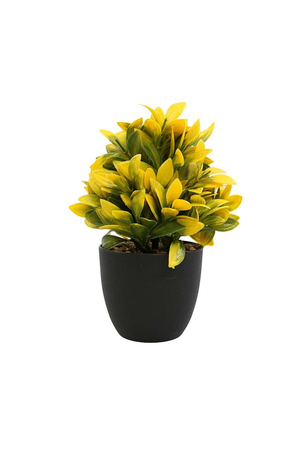 Ella Home Italia-Aranjament Ghiveci, Verde, Plastic, 21cm - Verde, Plastic, 21cm 1