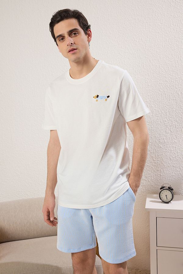 Trendyol Collection-Ecru Blue Regular Fit Pruhovaná vyšívaná pyžamová sada pro psy - TMNSS25PT00007 1