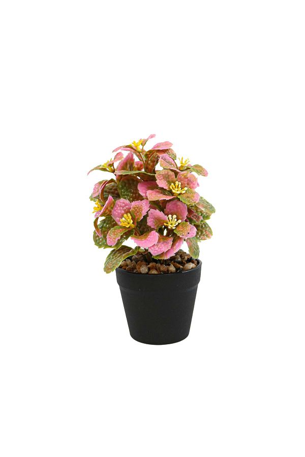 Ella Home Italia-Aranjament Floral, Roz, Plastic, 18cm - Roz, Plastic, 18cm 1