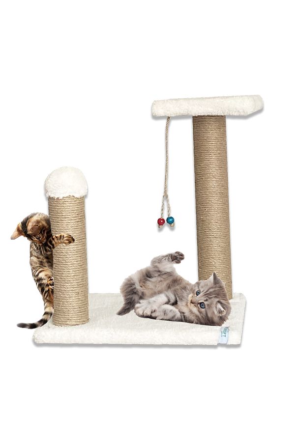 Nursoft-Kitten Scratching and Step Playground - Cat Effect 1