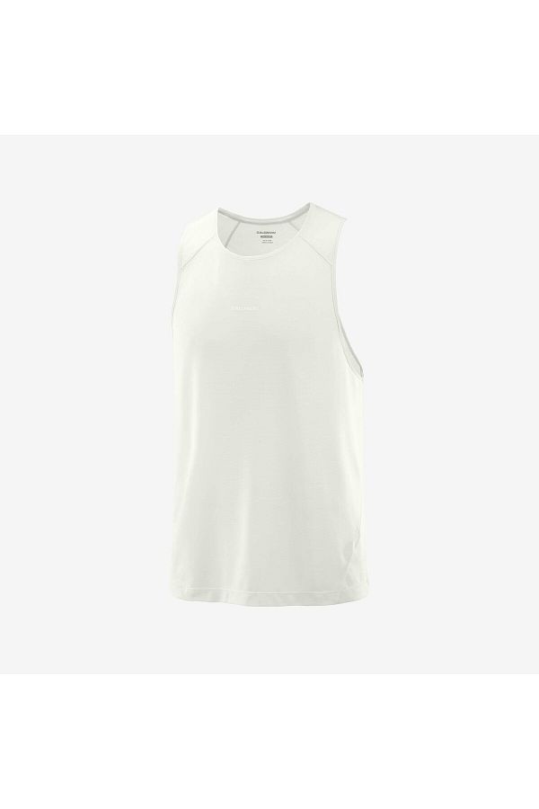 Salomon-Shkout Core Men's Running Singlet Icicle Lc2435800 1