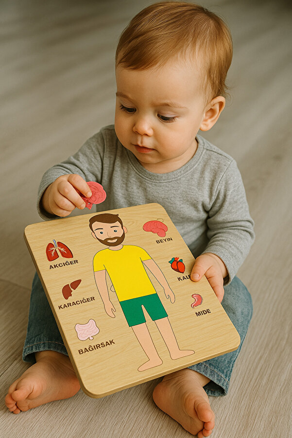 Karter İnovasyon Ahsap Renkli Puzzle, Ahsap Organlar, Ahsap İnsan Vücudu, Montessori Egitici Set, Ahsap Oyuncak