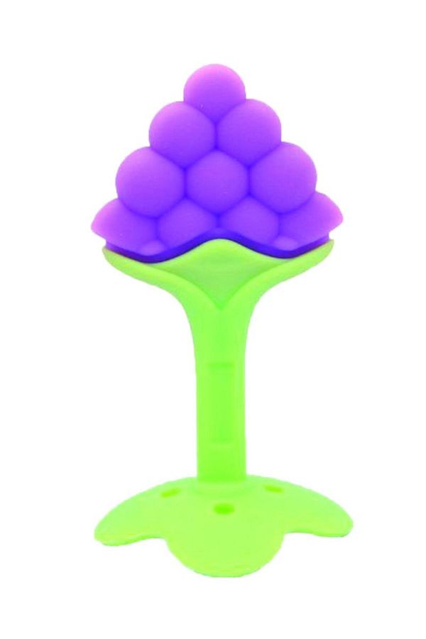 Generic-Fruit Teething Toy With Holder 04 1