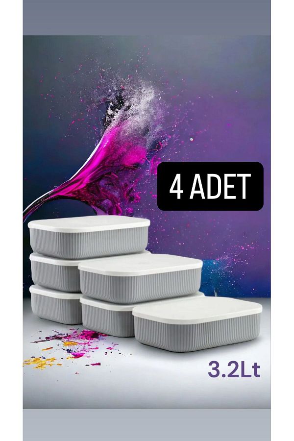 Bayev-4 Pcs Storage 3.2 Lt Gray Closet Organizer Box Socks Clothes Storage Container with Lid 1
