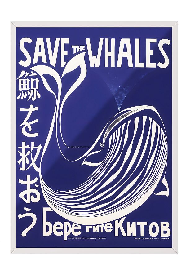 Postifull-Πίνακας με λευκό πλαίσιο, Save the Whales, Ζωγραφική τοίχου κουζίνας Comfort Series, NO:108974 1