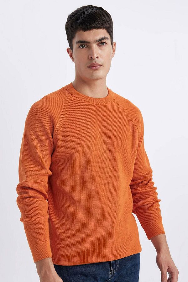 DeFacto-Standard-Passform, normaler Schnitt, Rundhalsausschnitt, Basic, einfarbig, Strickpullover A8458ax24sp 1
